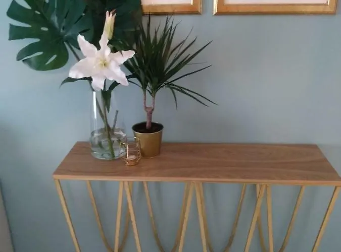 Apartamento 2 Muy Centrico Apartment Jerez de la Frontera